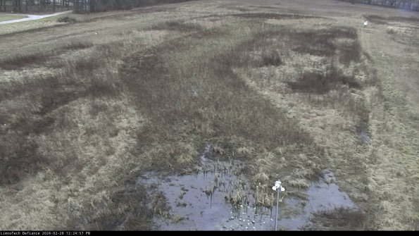 Cell 1_24-02-28_12-24-57-43