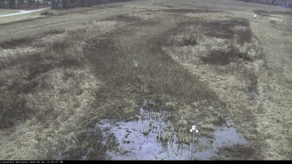 Cell 1_24-02-28_12-58-27-41