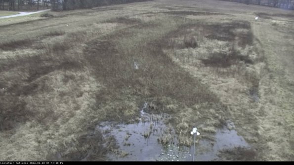 Cell 1_24-02-28_13-31-58-46