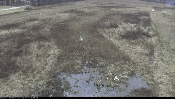 Cell 1_24-02-28_14-38-57-45