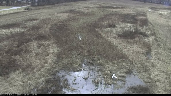 Cell 1_24-02-28_15-12-27-43