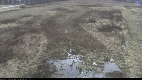 Cell 1_24-02-28_15-45-56-44