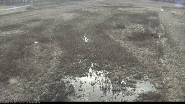 Cell 1_24-02-28_16-52-54-43