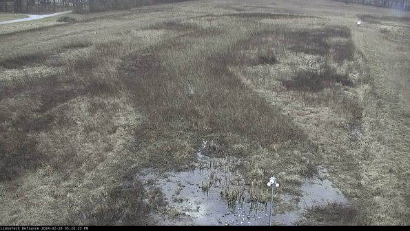 Cell 1_24-02-28_17-26-23-45