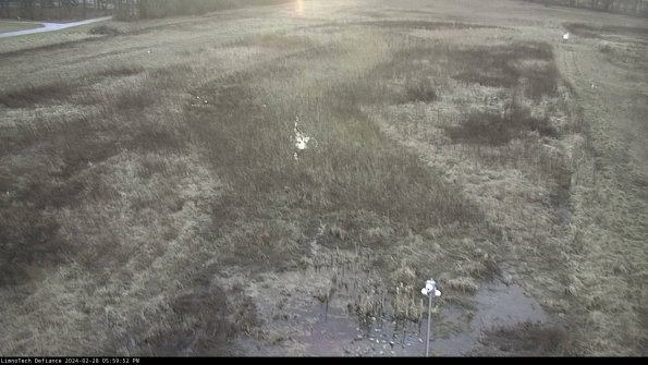 Cell 1_24-02-28_17-59-52-42