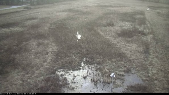 Cell 1_24-02-28_18-33-23-44