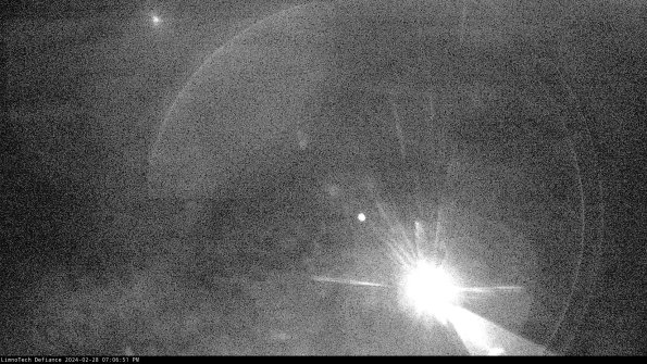 Cell 1_24-02-28_19-06-51-44