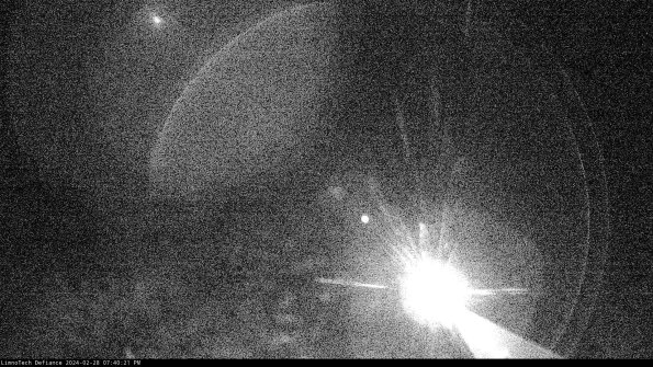 Cell 1_24-02-28_19-40-21-42