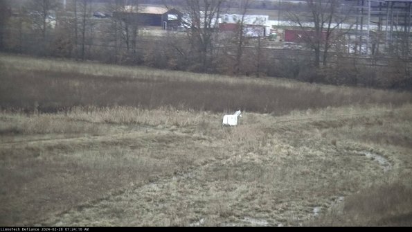 Cell 2 to 3_24-02-28_07-24-10-44