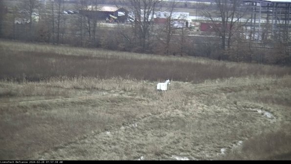 Cell 2 to 3_24-02-28_07-57-38-62