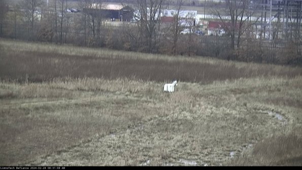 Cell 2 to 3_24-02-28_08-31-08-47