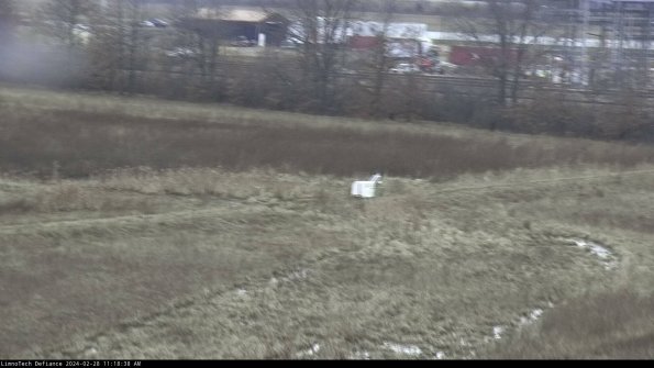 Cell 2 to 3_24-02-28_11-18-38-54