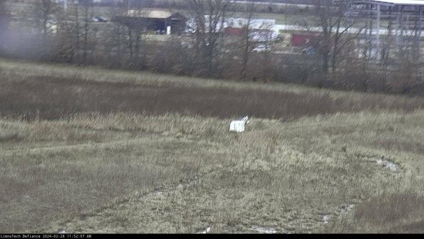 Cell 2 to 3_24-02-28_11-52-07-49