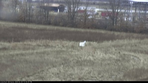 Cell 2 to 3_24-02-28_12-59-07-58