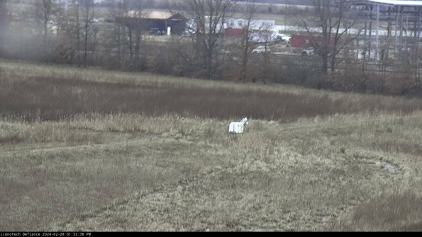 Cell 2 to 3_24-02-28_13-32-38-56