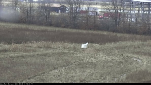 Cell 2 to 3_24-02-28_15-46-36-55