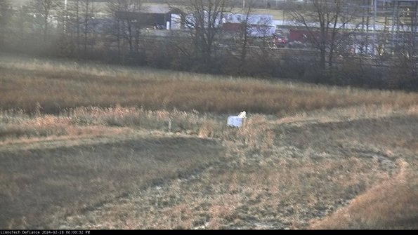 Cell 2 to 3_24-02-28_18-00-32-60