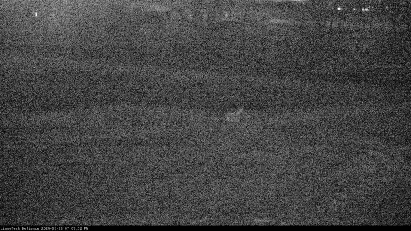 Cell 2 to 3_24-02-28_19-07-32-42