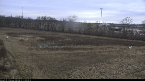 Cell 2_24-02-28_08-30-55-46