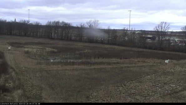 Cell 2_24-02-28_09-37-56-49