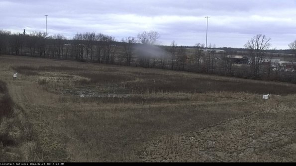 Cell 2_24-02-28_10-11-26-47