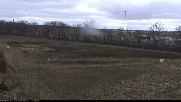 Cell 2_24-02-28_11-18-25-43