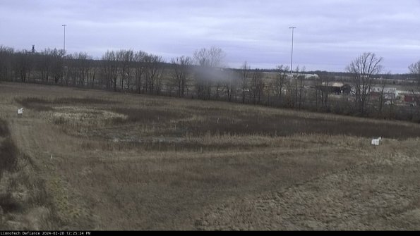 Cell 2_24-02-28_12-25-24-42