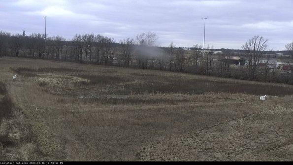 Cell 2_24-02-28_12-58-54-47