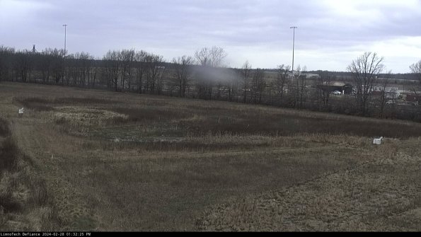 Cell 2_24-02-28_13-32-25-52