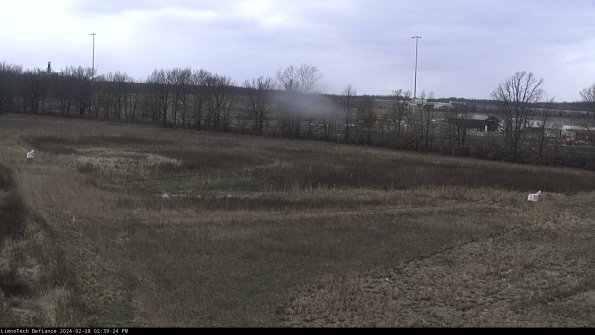 Cell 2_24-02-28_14-39-24-48