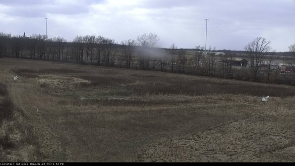 Cell 2_24-02-28_15-12-54-46