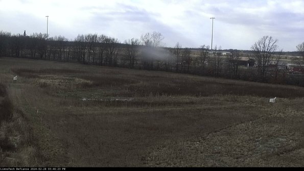 Cell 2_24-02-28_15-46-23-44