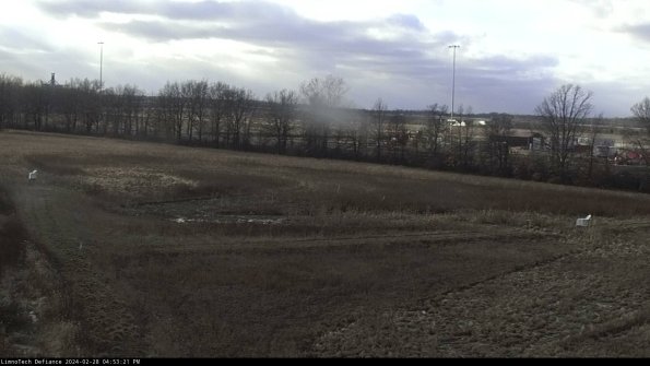 Cell 2_24-02-28_16-53-21-49