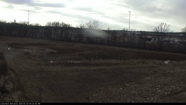 Cell 2_24-02-28_17-26-50-44