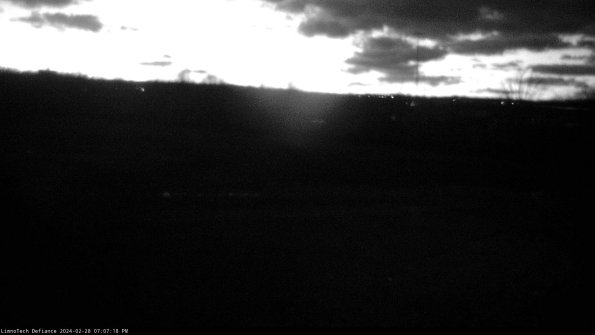 Cell 2_24-02-28_19-07-18-57