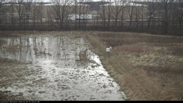 Cell 3 to 4_24-02-28_07-58-07-42