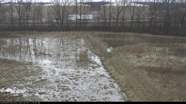 Cell 3 to 4_24-02-28_11-19-07-44