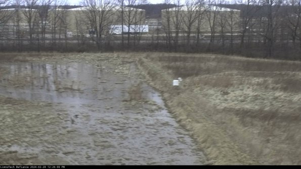 Cell 3 to 4_24-02-28_12-26-06-43