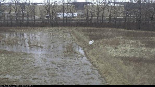 Cell 3 to 4_24-02-28_13-33-07-43