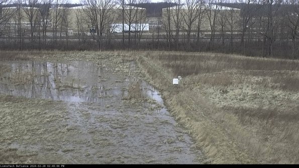 Cell 3 to 4_24-02-28_14-40-06-42