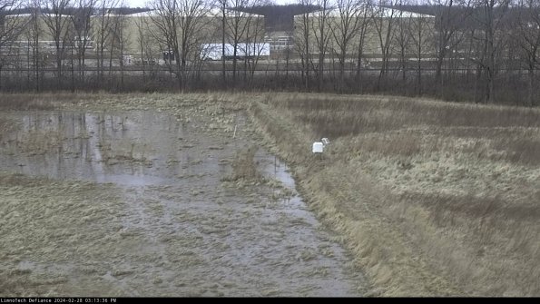 Cell 3 to 4_24-02-28_15-13-36-43