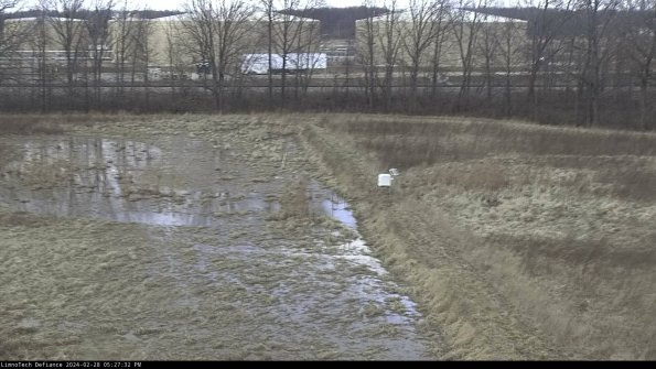 Cell 3 to 4_24-02-28_17-27-32-41