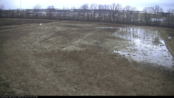 Cell 3_24-02-28_07-57-53-44