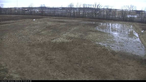 Cell 3_24-02-28_10-45-23-41