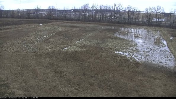 Cell 3_24-02-28_11-18-53-43