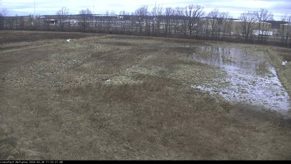 Cell 3_24-02-28_11-52-21-67