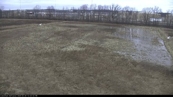 Cell 3_24-02-28_12-25-52-42