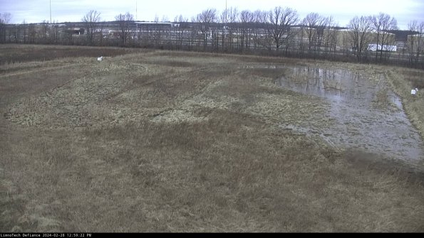 Cell 3_24-02-28_12-59-22-43