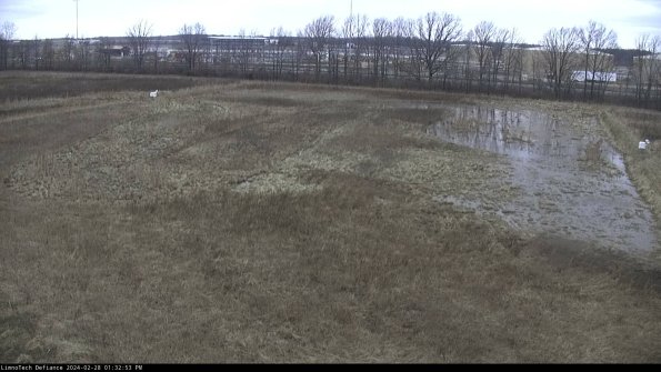 Cell 3_24-02-28_13-32-53-45