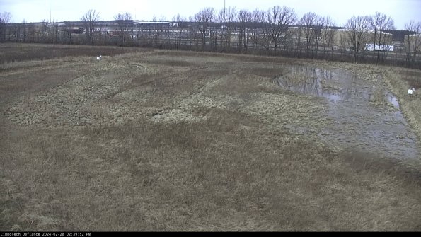 Cell 3_24-02-28_14-39-52-44